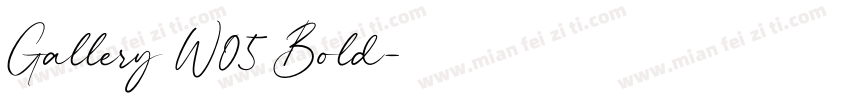 Gallery W05 Bold字体转换